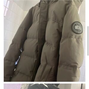 Canada goose in good condition